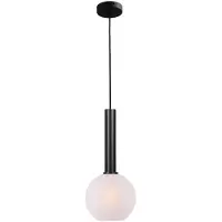 Masterlight Lampe suspendue Ø 20cm Bella 2 Noir avec verre blanc mat