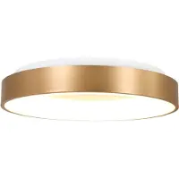 Steinhauer Plafonnier Ringlede