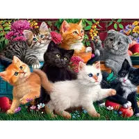 AnaTolian Puzzle Divergent Kittens 260 pièces