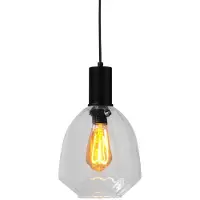 Masterlight Lampe suspendue noire Porto avec verre clair Nicolette - Ø 20cm