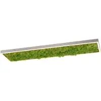 Leuchtendirekt Plafonnier LED rectangulaire GREEN KNUT, couleur mousse naturelle, 25 W, blanc chaud, 2050 lm, dimensions : 5,6 x 25 x 100 cm, IP20, Leuchten Direkt