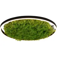 JUST LIGHT Plafonnier LED rond GREEN RITUS, couleur mousse naturel-noir, 28 W, blanc chaud, 960 lm, dimensions : 5,3 x 58,5 x 58,5 cm, IP20, Leuchten Direkt
