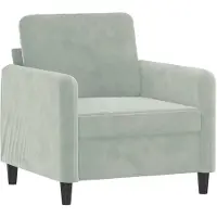vidaXL Fauteuil gris clair 60 cm velours