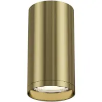 Maytoni Plafonnier, montage en saillie, aluminium, 1 flamme, laiton, H 10 cm