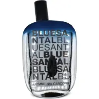 Comme des Garcons Blue Santal Edp Spray