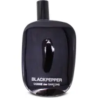 Comme des Garcons Blackpepper, eau de parfum, 100 ml, unisex