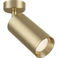Maytoni Plafonnier, aluminium, or mat, spot réglable, L 13 cm