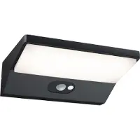 Paulmann LED Applique murale d'extérieur Ronea Détecteur de mouvement àcrépusculaire (IR)