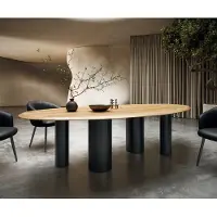 DELIFE Table à manger Edge ovalee 280x130x2,5 chêne naturee Pilier métal noir Flow-Edge