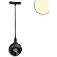 ISOLED Track48 Suspension Ball Focus noir, 12W, 60°, 48V DC, 3000K, CRI90, DALI dimmable