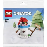 LEGO CREATOR 6+ Bawan 30645