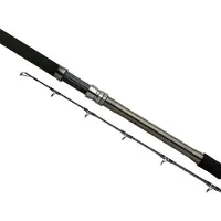 Shimano Canne à pêche Fishing Speedmaster Ax Deep Drop Bootsrute Noir 2,29 m / 500-1000 g Noir 2,29 m