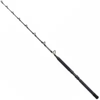 Shimano Fishing Tld B Stand Up Trolling Rod Argenté 1.65 m / 30 Lbs