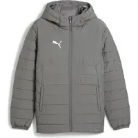 Puma Veste d’hiver gris