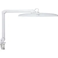 MAUL Lampe de table MAULexplore LED 6.500 K dimmable Pied à pince blanc