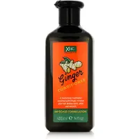 Xpel XHC Ginger Conditioner - 400 ml - Après-shampoing sans parabènes au gingembre