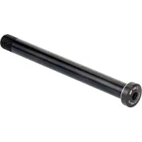 Dt Swiss Plug-in Rws 10 Through Axle Argenté 15 x 100 mm