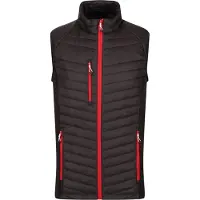 Regatta - Gilet Hybride pour Homme RG9422 (4XL) (Noir/Rouge)