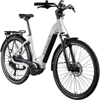Tretwerk Vélo électrique Amber E Bike pour femmes 28 pouces 155 - 185 cm Vélo hollandais gris 48 cm
