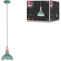 Paulmann Neordic Lampe suspendue Juna