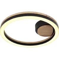 Globo Lighting Plafonnier métal noir mat, LED