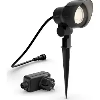 Philips Point de piqûre Spike anthracite