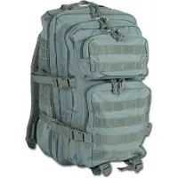 Sturm Bundeswehr und Freizeitshop - US Assault Pack Large (Rucksack), ca. 36L Sac à dos Militaire Outdoor Schule Foliage