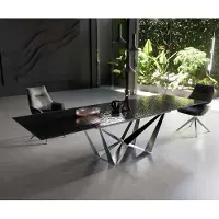 DELIFE Table à manger Edge 200-300x100 verre fondu noir fumé relief en 3D Spider acier plat acier inoxydable extensible