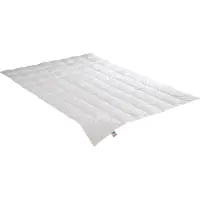 Badenia irisette Daunensteppbett Nora leicht (280 g, Duvet, 155 x 200 cm)