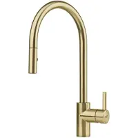 Franke Mitigeur avec douchette or - - 230550SBVL - eos neo