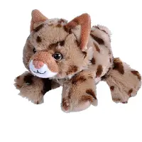 Wild republic Bobcat Peluche Animal en peluche Cadeaux pour enfants HugEMS 7 pouces