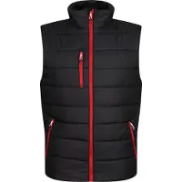 Regatta - Gilet pour homme RG9318 (M) (Noir/Rouge)