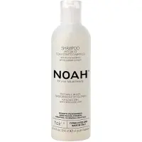 NOAH Anti-Amarillo Arandanos Champu 250ml