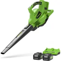Greenworks GD24X2BVK4X (Fonctionnement sur batterie, Aspirateurs et souffleurs)