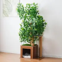Flieks Arbre à chat en forme d'arbre, avec 3 plateformes et des passages pour les chats, 60 x 45 x 158 cm, vert