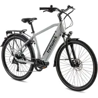 Tretwerk Vélo électrique Sonic Pedelec 28 pouces, vélo de randonnée, taille 160 - 180 cm, 8 vitesses, gris