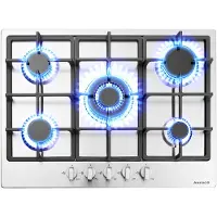 Arebos Table de cuisson 5 feux gaz | Acier inoxydable encastrable | Sécurité d'allumage automatique | Pour gaz naturel & propane | Autonome, efficace & économe en énergie