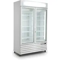 Saro Congélateur à 2 portes vitrées - Éclairage LED, refroidissement par ventilation forcée, 800 litres
