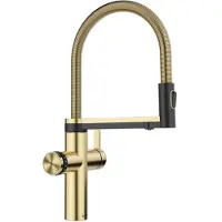 BLANCO CHOICE Icona Acier inoxydable satiné or Haute pression Système d'eau multifonctionnel