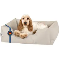 BedDog Lit pour chien ZARA : coussin pour chien avec housse lavable, panier pour chien, canapé pour chien, LIGHT-SAND (beige clair), (M) env. 70 x 55 x 18 cm