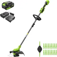 Greenworks Tagliabordi e Rifinitore (Fils coupe-herbe)