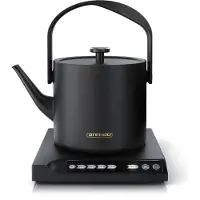 Arendo Bouilloire avec réglage de la température de 40 °C à 100 °C, sélection de la température, acier inoxydable, 0,5 L, 1 000 W, fonction de maintien au chaud, noir