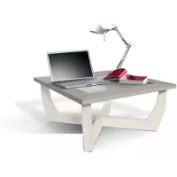 AEA Table basse Salon Meubles Table de Luxe Table d'appoint Design Moderne