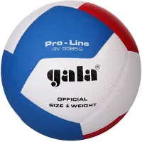 Gala BV5585S Pro-Line ballon de volleyball taille 5