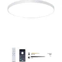 OEM Plafonnier, Smart Control, dimmable, design moderne, blanc (14.57inch)