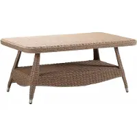 AEA Table basse marron luxe rotin élégant terrasse design tables meubles modernes