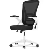 Bigzzia Chaise de bureau - Siège ergonomique - Chaise avec accoudoir rabattable à 90° - Support lombaire - Réglable en hauteur - noir et blanc