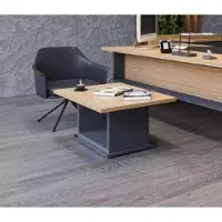 Xl Moebel Gmbh Designer Marron Table basse en bois Table d'appoint Meubles de salon Nouveau