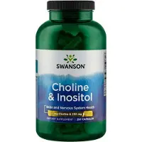 Sonstiges Choline 250 mg & Inositol 250 mg 250 gélules Swanson Health Products