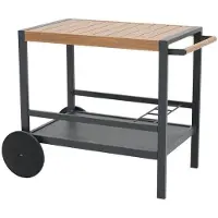 Sonstiges Table sur roulettes Jardin Table de bar Table de fête Table d'appoint 94x57.5 cm